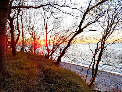 Diedrichshagen Strand — fotografia 3