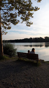 Waldmattensee Strand — fotografia 5