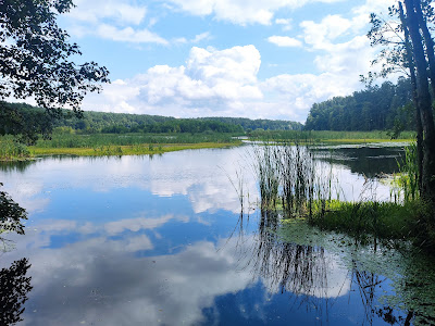 Brodnicki Park Krajobrazowy