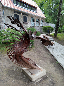 Bat Museum — fotografia 3