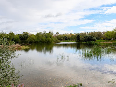 Laguna de Fuente del Rey — fotografia 3