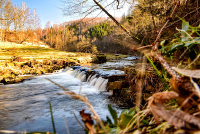 Märzenbecherwiesen-Wanderung — fotografia 3