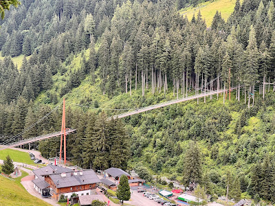 Glemmtaler Baumzipfelweg — fotografia 5