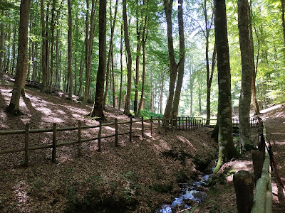 Area Picnic Faggeta di Condrò