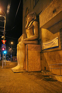 Muzeul Județean — fotografia 5