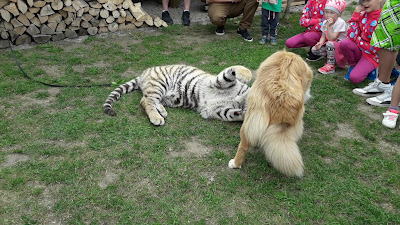 FAUNAPARK ZOO — fotografia 2