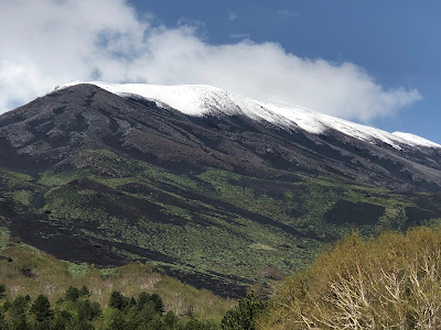 Parco dell'Etna — fotografia 5
