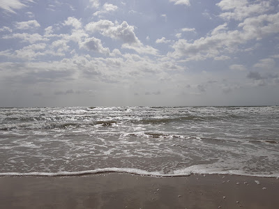 Playa de la Marina — fotografia 5