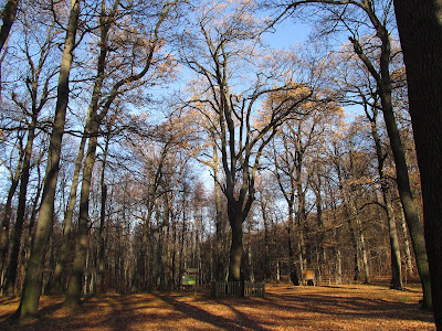 Tripammer tree — fotografia 4