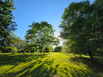 Parcul Dendrologic — fotografia 4