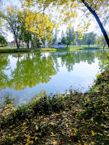 Győr, Püspökerdő — fotografia 5