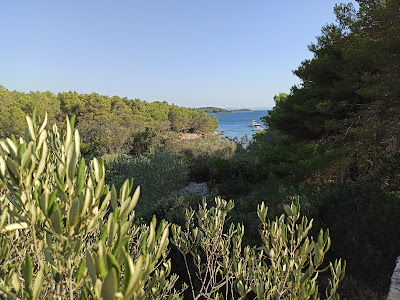 Beach Mala Sabuša — fotografia 5
