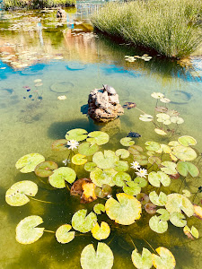 Andreas Papandreou Park — fotografia 3
