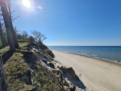 Pleśna Plaża
