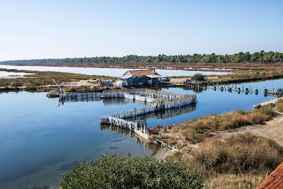 Divjaka-Karavasta National Park
