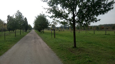 Park Tysiąclecia we Wrocławiu — fotografia 5