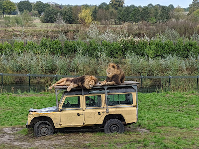 ZooParc Overloon — fotografia 3