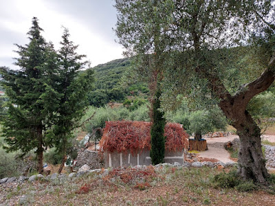 Camping HIMARA — fotografia 5