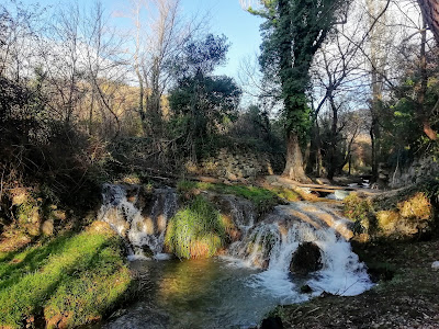 Kliško polje — fotografia 3