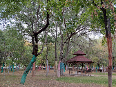 Parcul Pușkin - Crizantemelor — fotografia 3