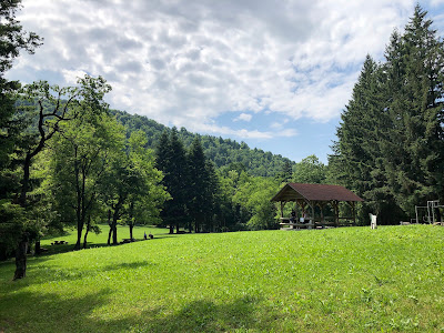 Trešnjik — fotografia 3