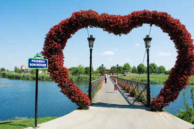 Parcul de Aventură Comana — fotografia 4