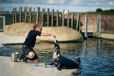 Fiskeri- og Søfartsmuseet — fotografia 4