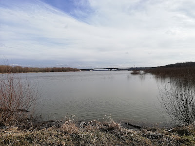 Plaża Wilanów Zawady — fotografia 5