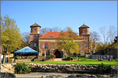 Culture Center "Toszek Castle" — fotografia 3