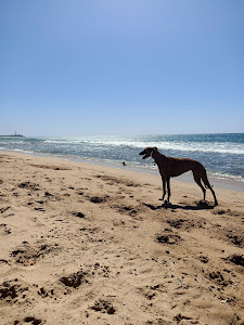 Playa Mangueta — fotografia 5