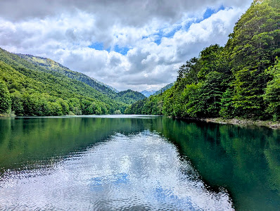 Biogradska gora National Park