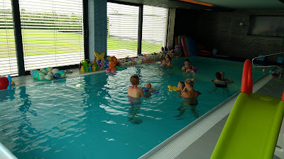 Dolphin - Aqua baby club