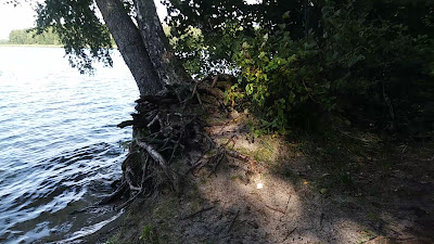 Campsite in Elganowo — fotografia 2