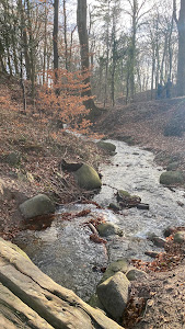 Stensby Møllebæk (Malling's Gorge) — fotografia 5