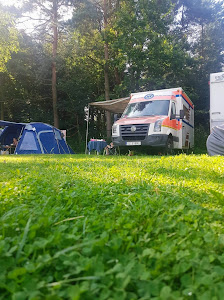 Young dolphin - Camping and guest rooms — fotografia 5