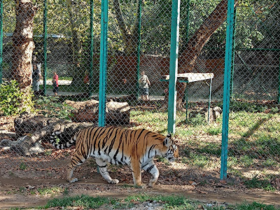 Zoo Pazardzhik — fotografia 4