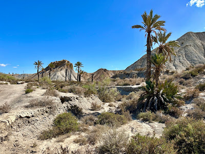 Tabernas Desert — fotografia 4