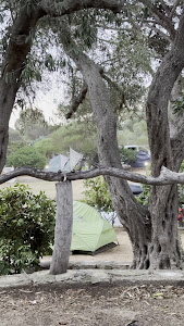 Camping Maddalena — fotografia 5