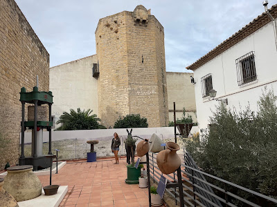 Centro de Interpretación Olivar y Aceite — fotografia 3