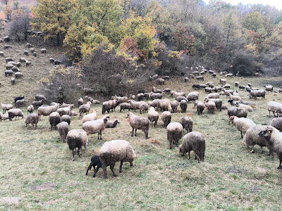Zagajička brda — fotografia 4