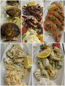 Gamba Cristal — fotografia 5