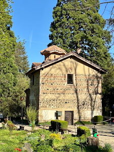 Biserica Boiana — fotografia 5