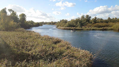 Nationaal Park De Biesbosch — fotografia 3