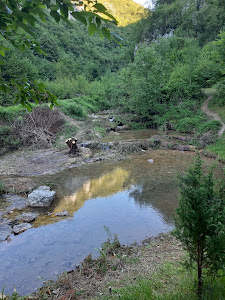 Водопад Пањица — fotografia 4