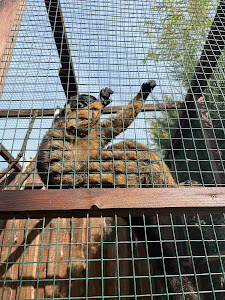 Zájezd Zoo — fotografia 4