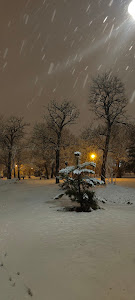Parc Pădurice — fotografia 5