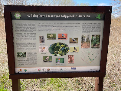 Merzse Swamp Nature Reserve — fotografia 4