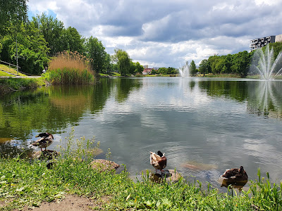 Park Balaton — fotografia 5