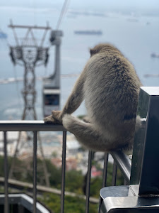 Gibraltar viewing platform — fotografia 4