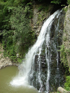 Rezervaţia naturală Buciaş